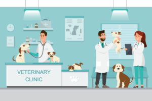 Free veterinary assistance for low income families