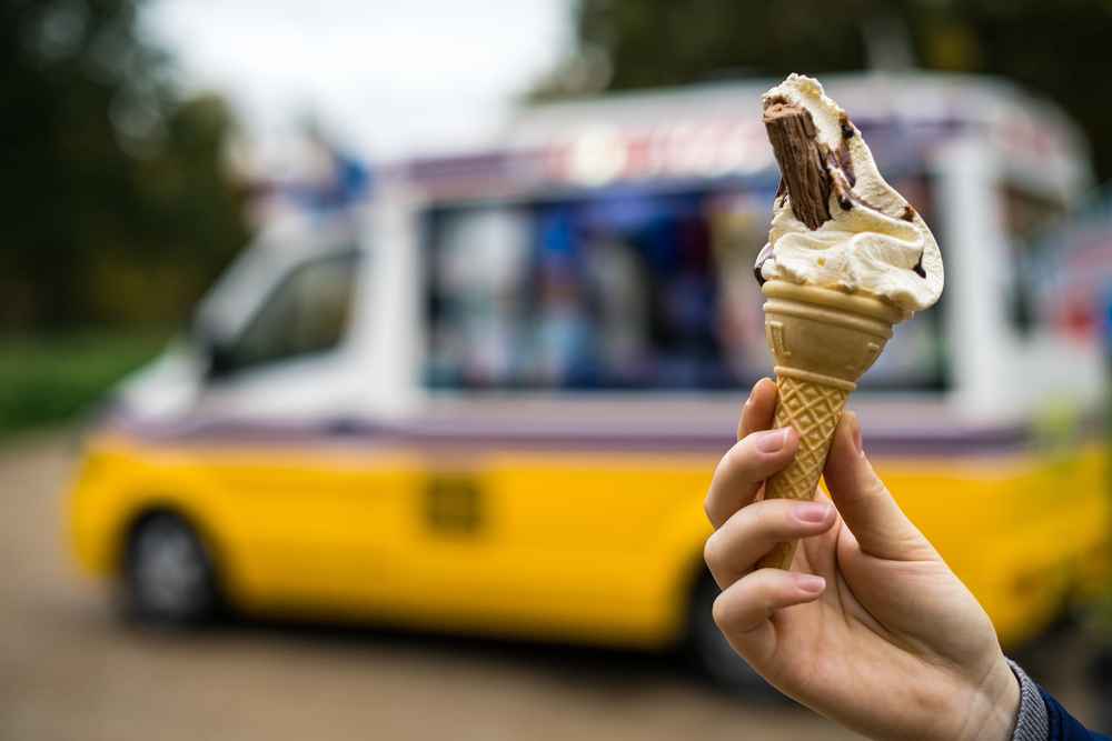 Ice Cream Food Truck Bussiness Plan